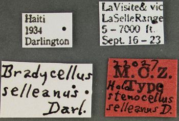 Media type: image;   Entomology 22027 Aspect: labels